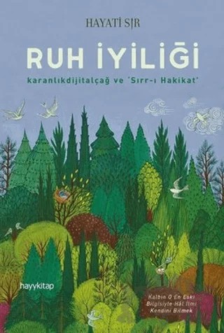 Ruh İyiliği – Hayati Sır – Hayykitap kitap kapağı