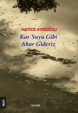 Kar Suyu Gibi Akar Gideriz – Hatice Aydoğdu – Dipnot Yayınları kitap kapağı