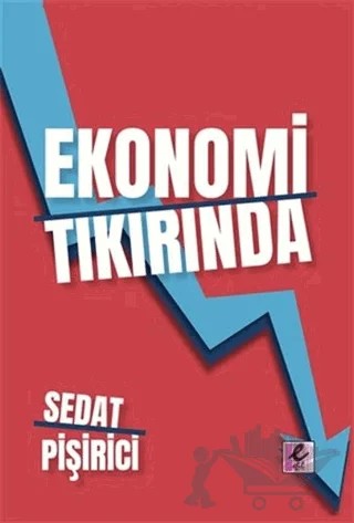 Ekonomi Tıkırında – Sedat Pişirici – Efil Yayınevi kitap kapağı