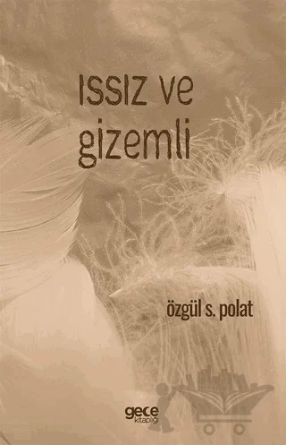 Issız ve Gizemli – Özgül S. Polat – Gece Kitaplığı kitap kapağı