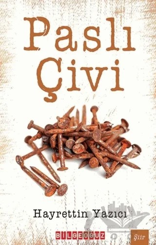 Paslı Çivi – Hayrettin Yazıcı – Bilgeoğuz Yayınları kitap kapağı