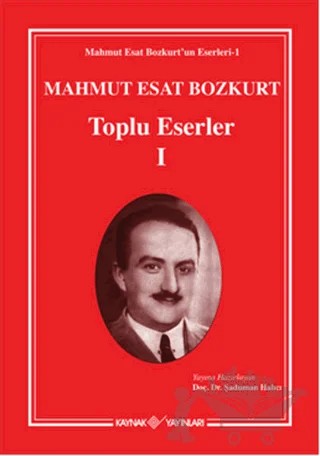 Mahmut Esat - Bozkurt Toplu Eserler 1 – Şaduman Halıcı – Kaynak Yayınları kitap kapağı