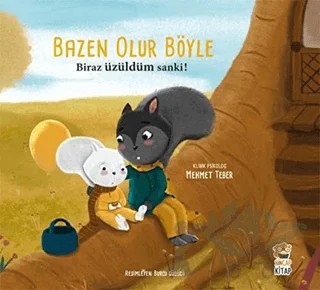 Biraz Üzüldüm Sanki! - Bazen Olur Böyle – Mehmet Teber – Sincap Kitap kitap kapağı