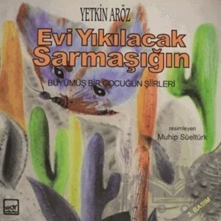 Evi Yıkılacak Sarmaşığın – Yetkin Aröz – Broy Yayınları kitap kapağı