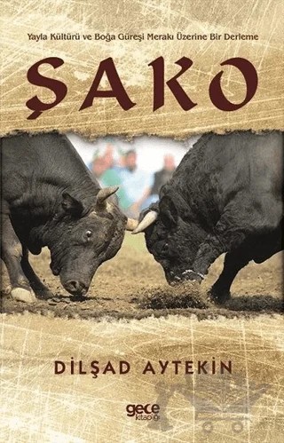 Şako – Dilşad Aytekin – Gece Kitaplığı kitap kapağı