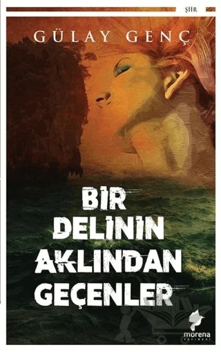 Bir Delinin Aklından Geçenler – Gülay Genç – Morena Yayınevi kitap kapağı
