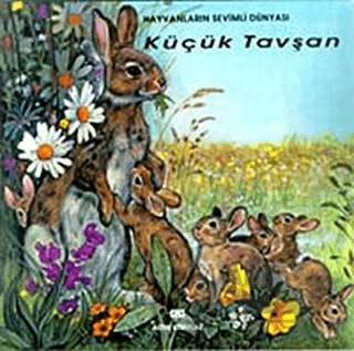 Küçük Tavşan – Marie Duval – Altın Kitaplar kitap kapağı
