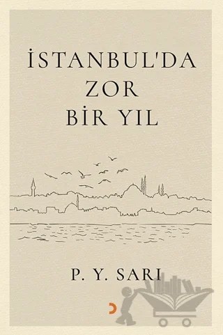 İstanbul’da Zor Bir Yıl – P. Y. Sarı – Cinius Yayınları kitap kapağı
