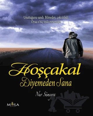 Hoşçakal Diyemeden Sana – Nur Sümeyra – Mola Kitap kitap kapağı