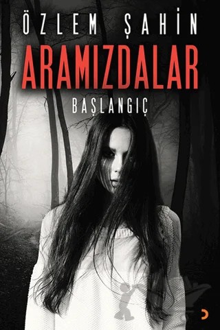 Aramızdalar – Özlem Şahin – Cinius Yayınları kitap kapağı