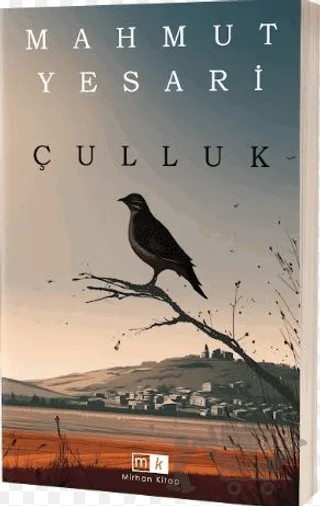 Çulluk – Mahmut Yesari – Mirhan Kitap kitap kapağı