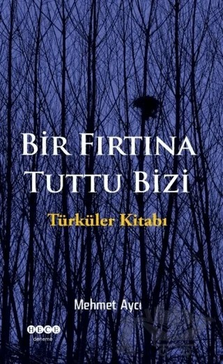 Bir Fırtına Tuttu Bizi – Mehmet Aycı – Hece Yayınları kitap kapağı