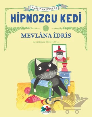 Hipnozcu Kedi – Mevlana İdris – Vak Vak Yayınları kitap kapağı
