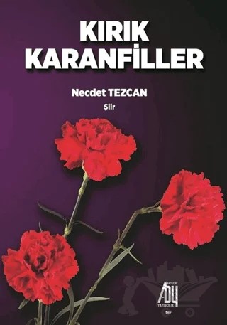Kırık Karanfiller – Necdet Tezcan – Baygenç Yayıncılık kitap kapağı
