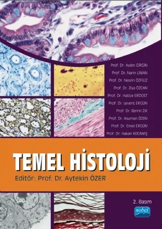 Temel Histoloji – Aytekin Özer, Aydın GİRGİN, Narin LİMAN, Nesrin ÖZFİLİZ, Ziya ÖZCAN, Hatice ERDOST, Levent ERGÜN, Berrin Zık, Asuman ÖZEN, Emel Ergün, Hakan KOCAMIŞ – Nobel Akademik Yayıncılık kitap kapağı