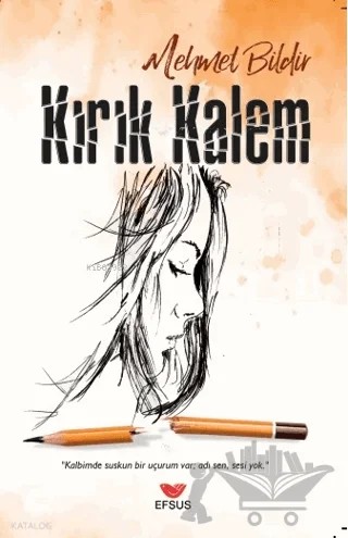 Kırık Kalem – Mehmet Bildir – Efsus Yayınları kitap kapağı