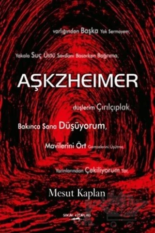 Aşkzheimer – Mesut Kaplan – Sokak Kitapları Yayınları kitap kapağı