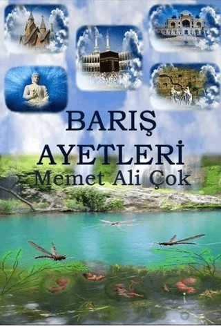 Barış Ayetleri – Mehmet Ali Çok – İkinci Adam Yayınları kitap kapağı