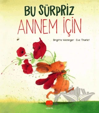 Bu Sürpriz Annem İçin – Brigitte Weninger – Uçan Fil Yayınları kitap kapağı