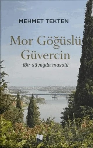 Mor Göğüslü Güvercin – Mehmet Tekten – Karina Yayınevi kitap kapağı