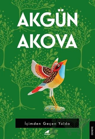 İçimden Geçen Yolda – Akgün Akova – Kara Karga Yayınları kitap kapağı