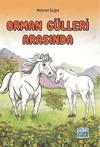Orman Gülleri Arasında – Mehmet Buğra – Talas Yayınları kitap kapağı