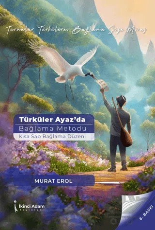 Türküler Ayaz’da – Murat Erol – İkinci Adam Yayınları kitap kapağı