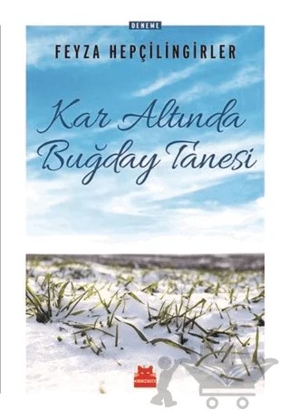 Kar Altında Buğday Tanesi – Feyza Hepçilingirler – Kırmızı Kedi Yayınevi kitap kapağı