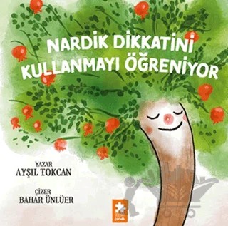 Nardik Dikkatini Kullanmayı Öğreniyor – Ayşıl Tokcan – Eksik Parça Yayınları kitap kapağı