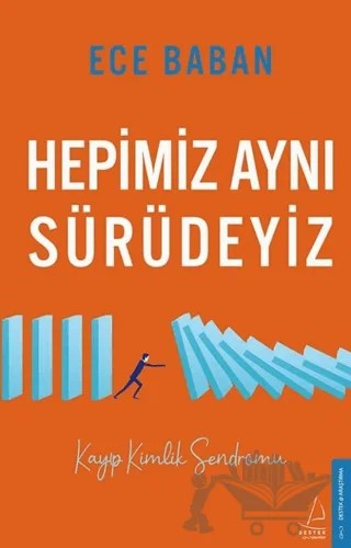 Hepimiz Aynı Sürüdeyiz – Ece Baban – Destek Yayınları kitap kapağı