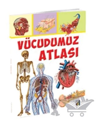 Vücudumuz Atlası – Vincenzo Umano – Damla Yayınevi kitap kapağı