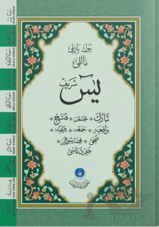 Çanta Boy Yasin-i Şerif Cüzü (Mealli, Büyük Yazılı - 2 Renkli) – Kolektif – Hayrat Neşriyat kitap kapağı