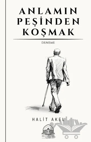 Anlamın Peşinden Koşmak – Halit Akel – Biruni Külliyesi Yayınları kitap kapağı