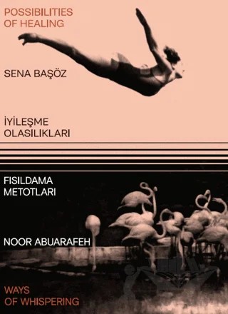 İyileşme Olasılıkları - Fısıldama Metotları – Sena Başöz, Noor Abuarafeh – Yapı Kredi Yayınları kitap kapağı