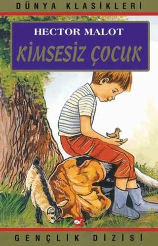 Kimsesiz Çocuk – Hector Malot – Beyaz Balina Yayınları kitap kapağı