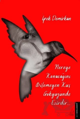 Nereye Konacağını Bilmeyen Kuş Gökyüzünde Esirdir – İpek Demirkan – Destek Yayınları kitap kapağı