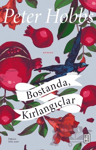 Bostanda, Kırlangıçlar – Peter Hobbs – Ketebe Yayınları kitap kapağı