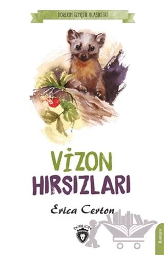 Vizon Hırsızları – Erica Certon – Dorlion Yayınları kitap kapağı