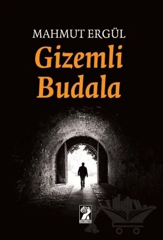 Gizemli Budala – Mahmut Ergül – İştirak Yayınevi kitap kapağı