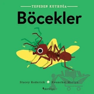 Böcekler - Tepeden Kuyruğa – Stacey Roderick – Domingo Yayınevi kitap kapağı