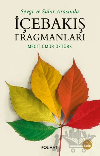 İçebakış Fragmanları – Mecit Ömür Öztürk – Foliant Yayınları kitap kapağı