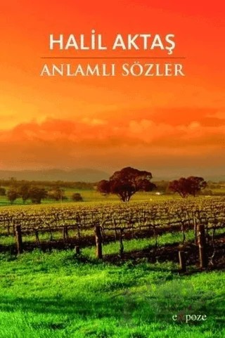 Anlamlı Sözler – Halil Aktaş – Expoze Kitap kitap kapağı