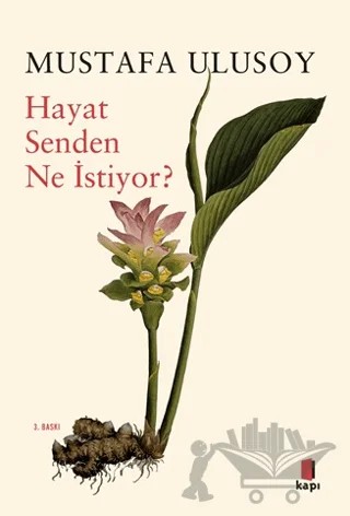 Hayat Senden Ne İstiyor? – Mustafa Ulusoy – Kapı Yayınları kitap kapağı
