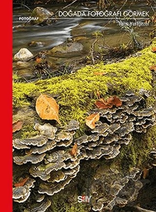 Doğada Fotoğrafı Görmek – Tarık Yurtgezer – Say Yayınları kitap kapağı