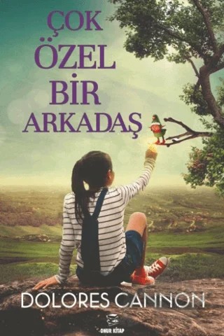 Çok Özel Bir Arkadaş – Dolores Cannon – Onur Kitap kitap kapağı