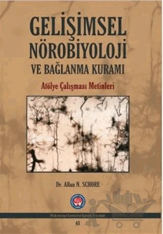 Gelişimsel Nörobiyoloji ve Bağlanma Kuramı – Allan N. Schore – Psikoterapi Enstitüsü kitap kapağı