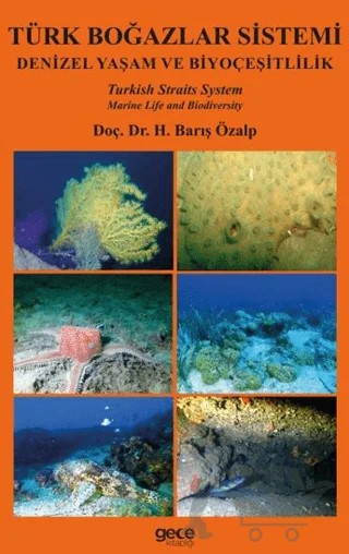 Türk Boğazlar Sistemi – H. Barış Özalp – Gece Kitaplığı kitap kapağı