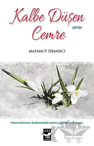 Kalbe Düşen Cemre – Mahmut Demirci – Arı Sanat Yayınevi kitap kapağı