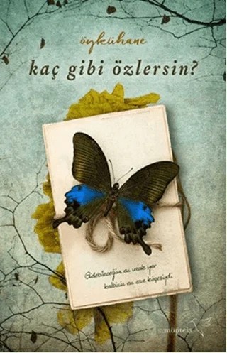 Kaç Gibi Özlersin? – Seda Eroğlu – Müptela Yayınları kitap kapağı