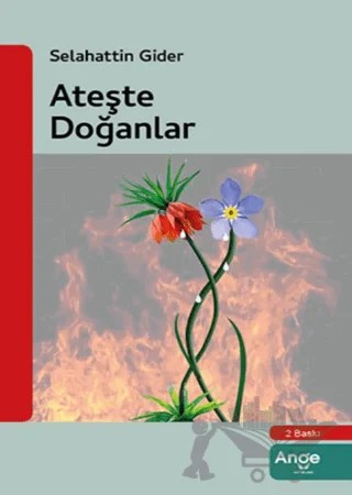 Ateşle Doğanlar – Selahattin Gider – Ange Yayınları kitap kapağı